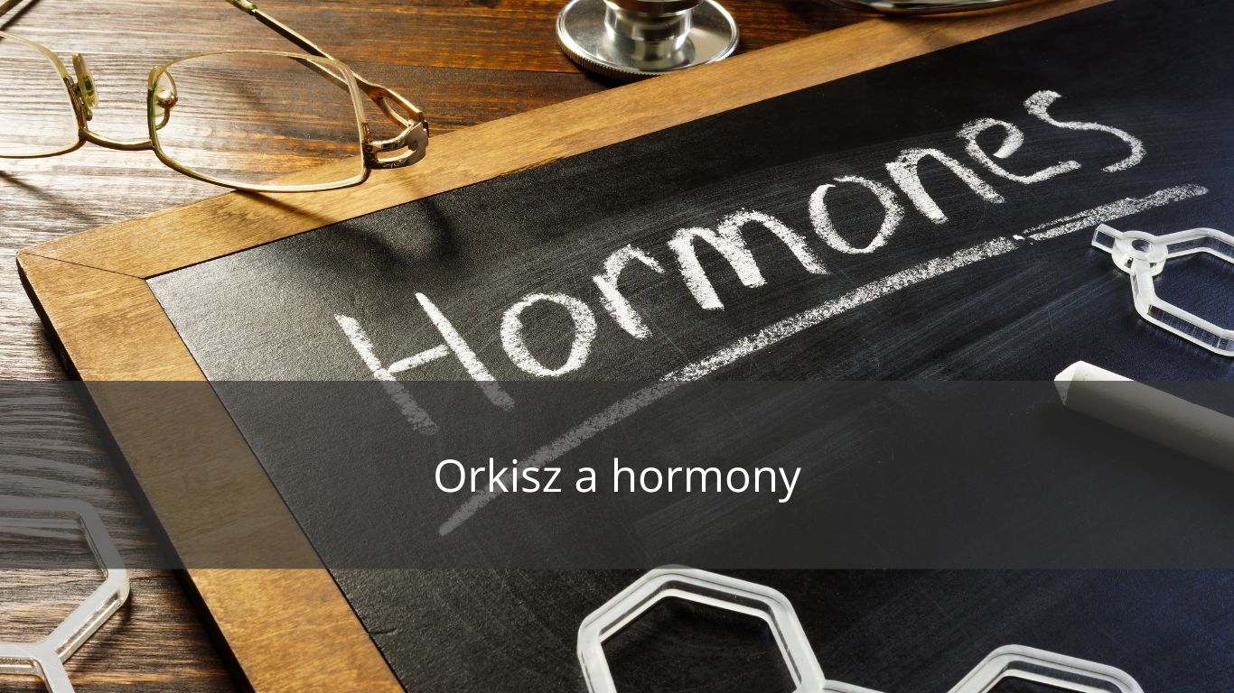 JAK PRODUKTY ORKISZOWE WPŁYWAJĄ NA UKŁAD HORMONALNY?