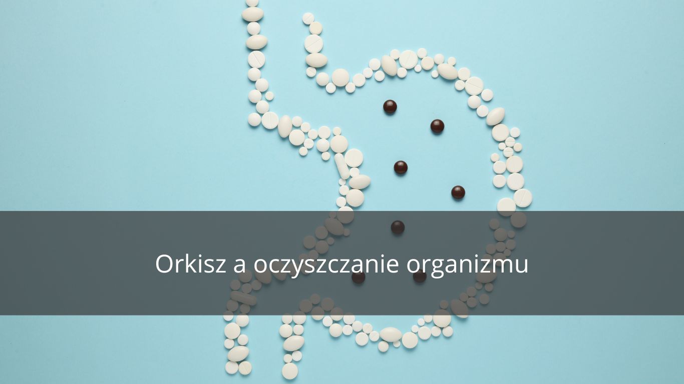 WPŁYW ORKISZU NA OCZYSZCZANIE ORGANIZMU 