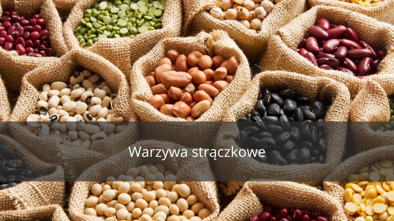 WARZYWA STRĄCZKOWE W DIECIE ŚW HILDEGARDY Z BINGEN