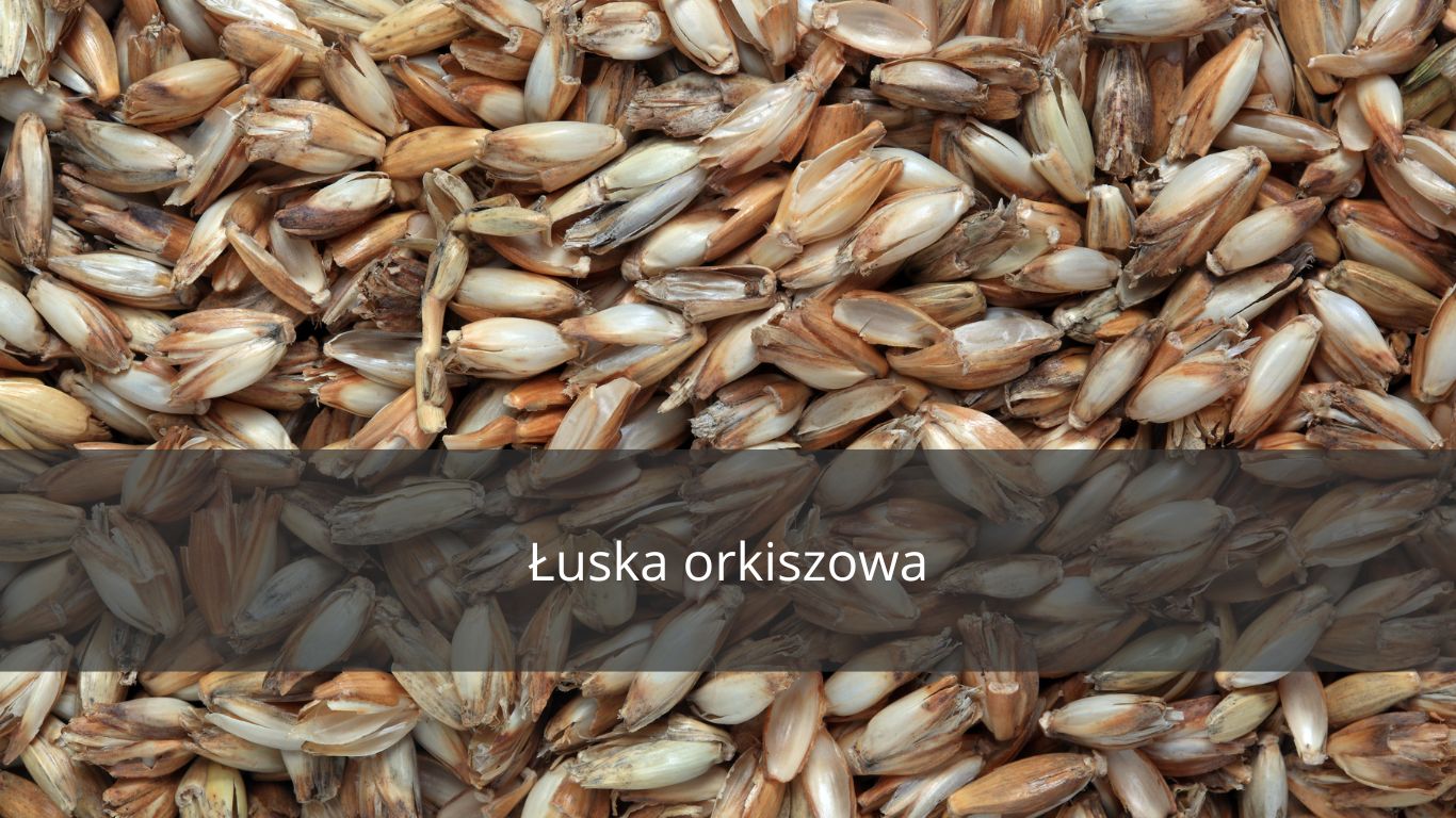 WŁAŚCIWOŚCI I ZASTOSOWANIE ŁUSKI ORKISZOWEJ