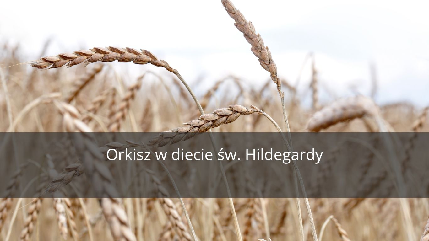 DLACZEGO ORKISZ POLECANY JEST W DIETACH OPARTYCH NA FILOZOFII HILDEGARDY?